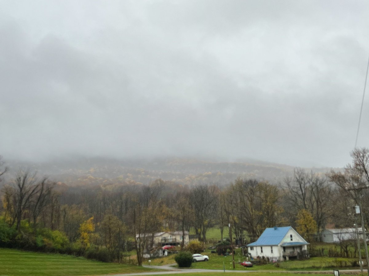 Real Appalachia tweet media