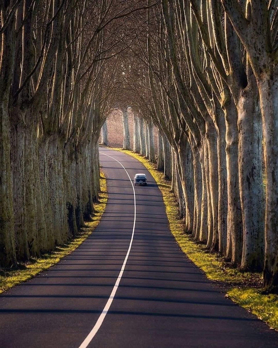 NoorAlam786 (@noorto14) on Twitter photo 