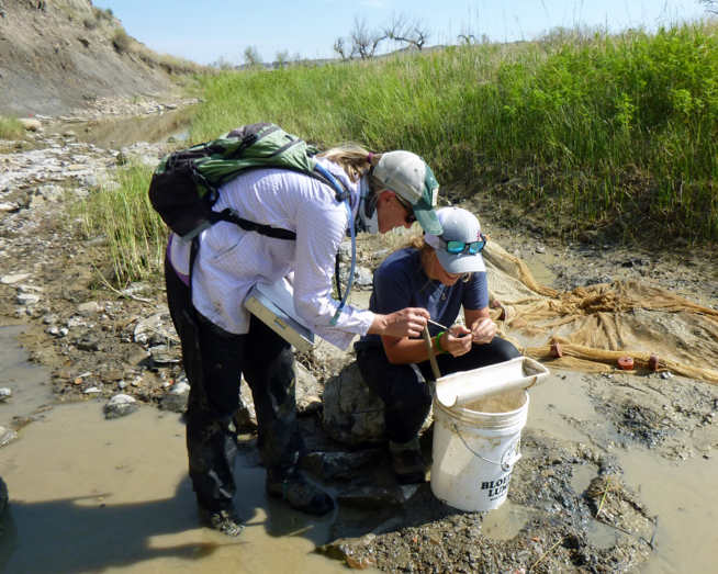 The 2024 Hutton Program is looking for mentors! Fisheries professionals mentor high school students from traditionally underrepresented backgrounds during an 8-week, paid summer internship. No cost to mentors thanks to our program partners. Apply by 3/31: hutton.fisheries.org