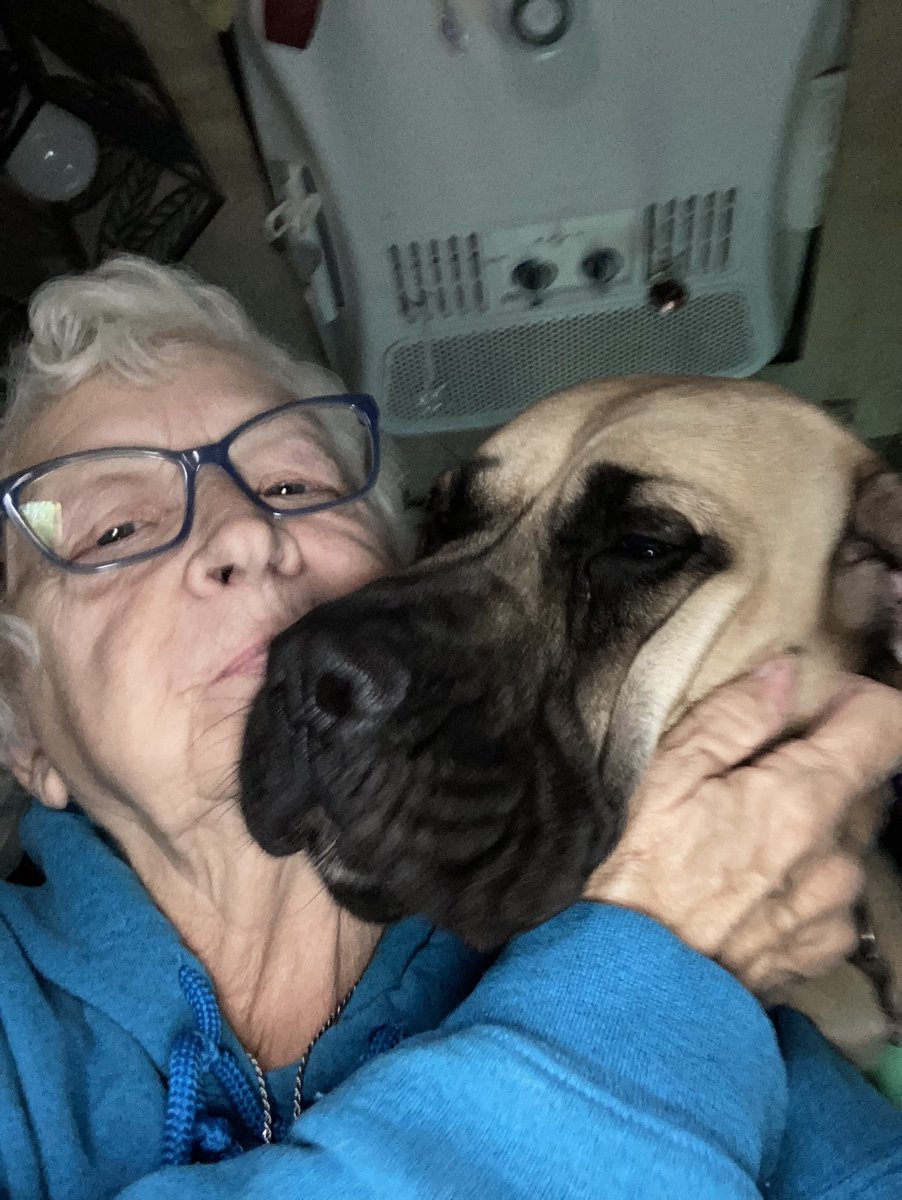 blvemt's tweet image. Somebody is wanting attention. It’s not enough that Hawk got in my seat behind me, now Cassie is there too and I’m barely on the edge. There’s only one seat in this van and everyone wants in it. Star will probably be next.