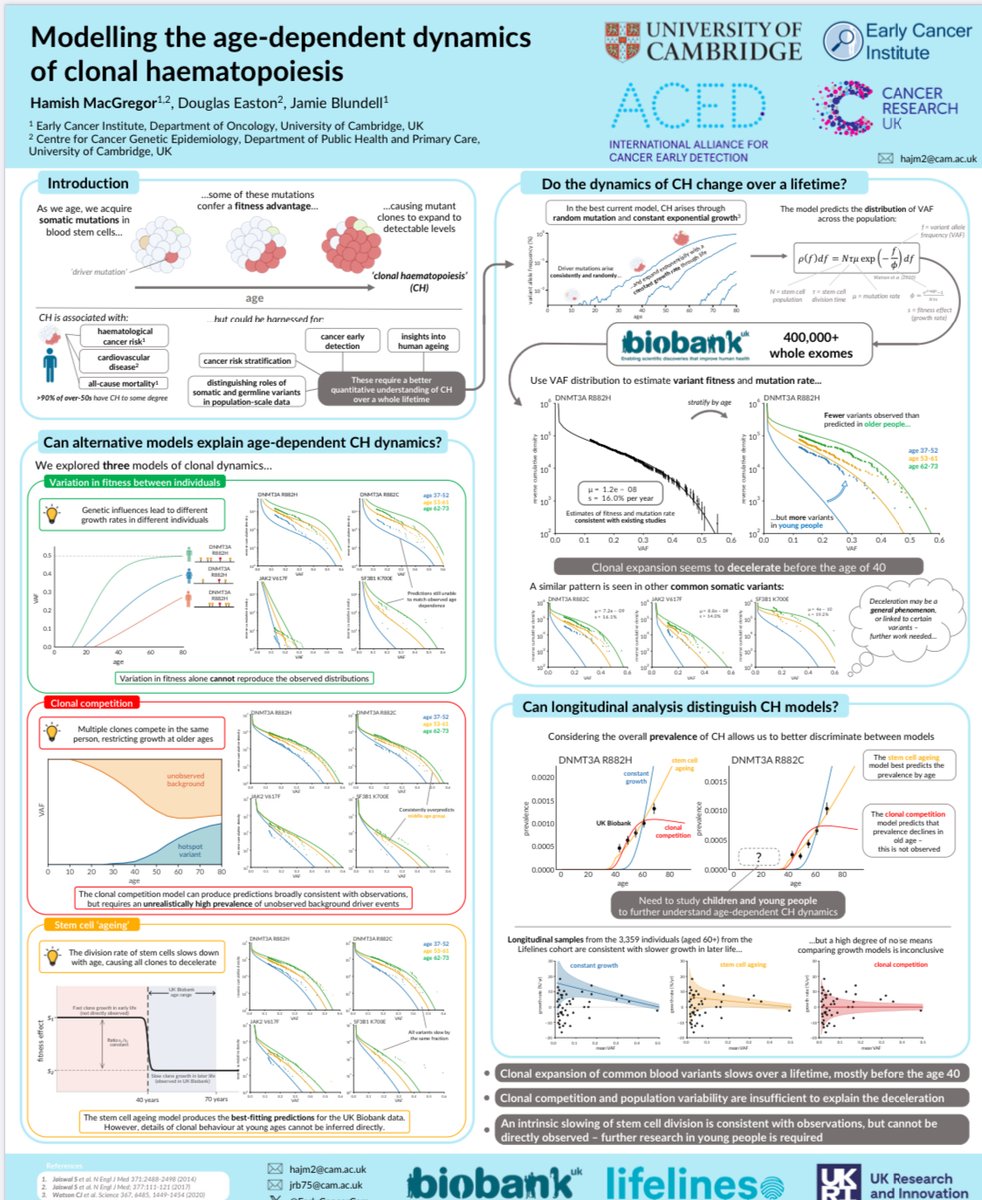 Jamie Blundell (@jrblundell) on Twitter photo For anyone at #ASHG2023 check out our recent work led by superstar student <a href="/hamish_macg/">Hamish MacGregor</a> on modelling the deceleration of clonal haem in #UKBB. Cancer poster session III Saturday AM. Evidence of age-related slow down in HSC dynamics. For anyone at #ASHG2023 check out our recent work led by superstar student <a href="/hamish_macg/">Hamish MacGregor</a> on modelling the deceleration of clonal haem in #UKBB. Cancer poster session III Saturday AM. Evidence of age-related slow down in HSC dynamics.