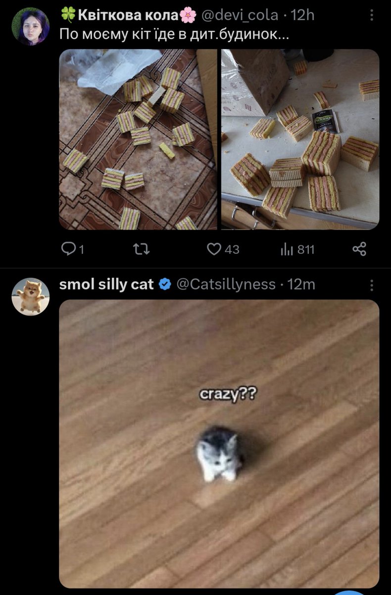 ель ґато tweet media