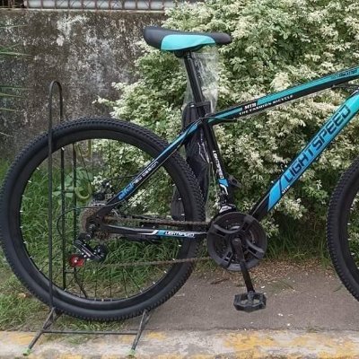 Neusa Maria tweet media