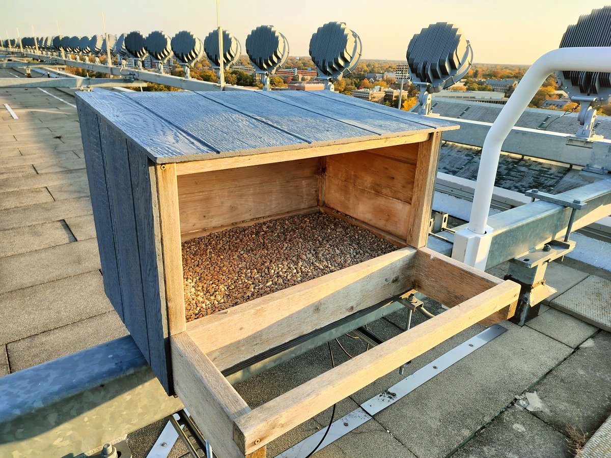 MSU FW Club tweet media