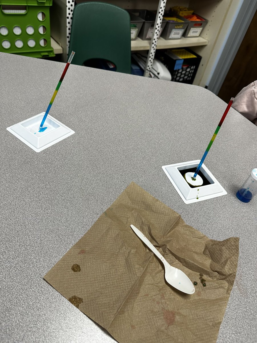 Learning about how density impacts an objects ability to sink or float!