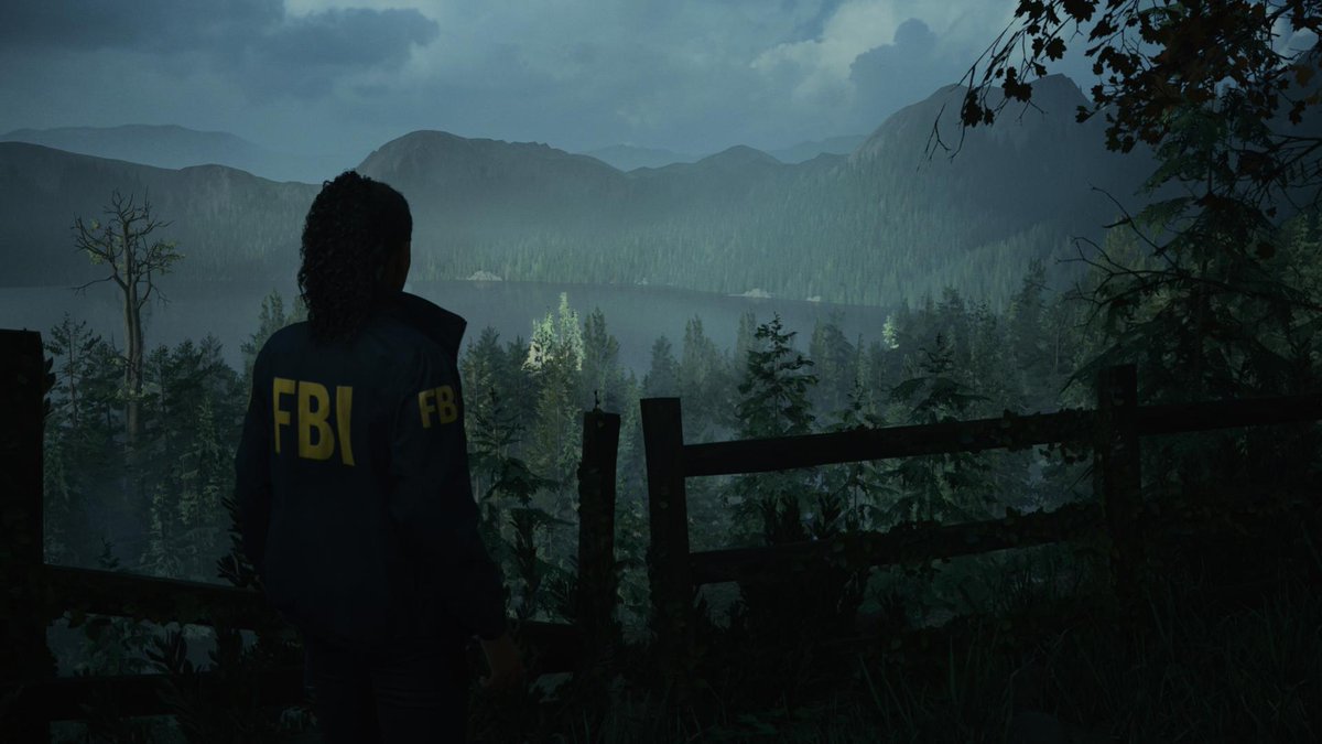 Didacgil's tweet photo. #PS5Share, #AlanWake2 https://t.co/bT1rohAHWE