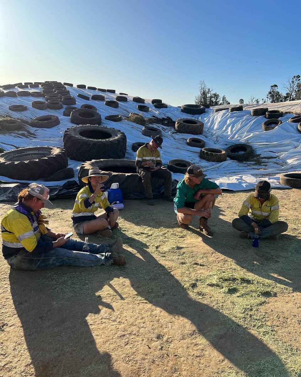 Silage season done, thanks to team Gundamain.