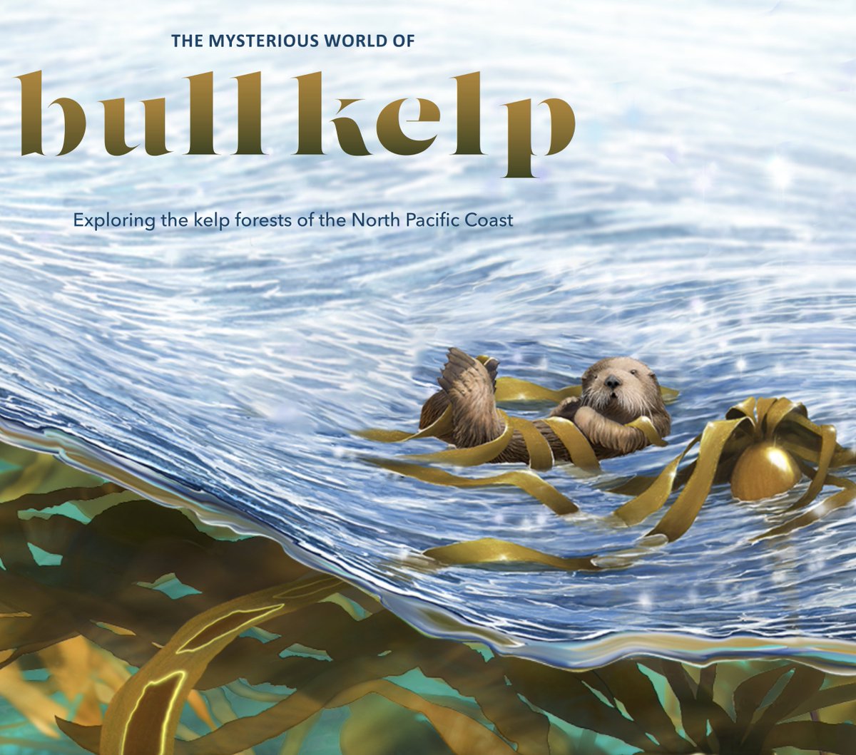 Interested in learning about kelp forests &amp; the animals that live in them? Check out this new website: bullkelp.info. The illustrations, text &amp; photos take you on a journey from Alaska to California. The section on Oregon was funded by Oregon Sea Grant.