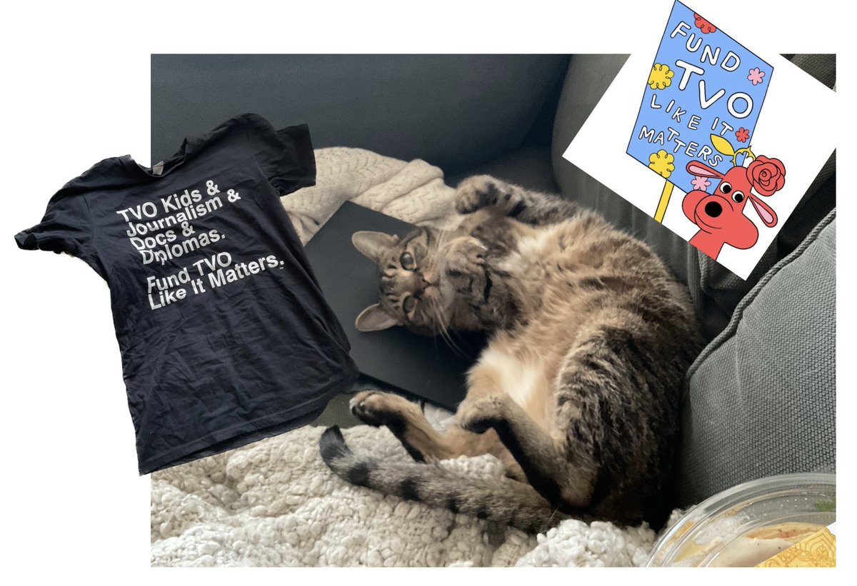TVO_CMG's tweet photo. #CatsforTVO #SupportPublicBroadcasting #RapsCats https://t.co/g0uogQD7wZ