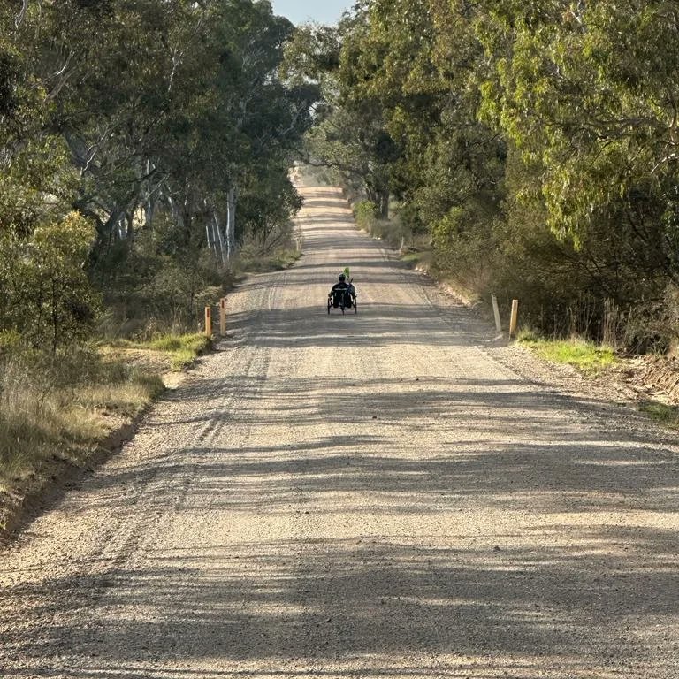 65 Degrees North tweet media