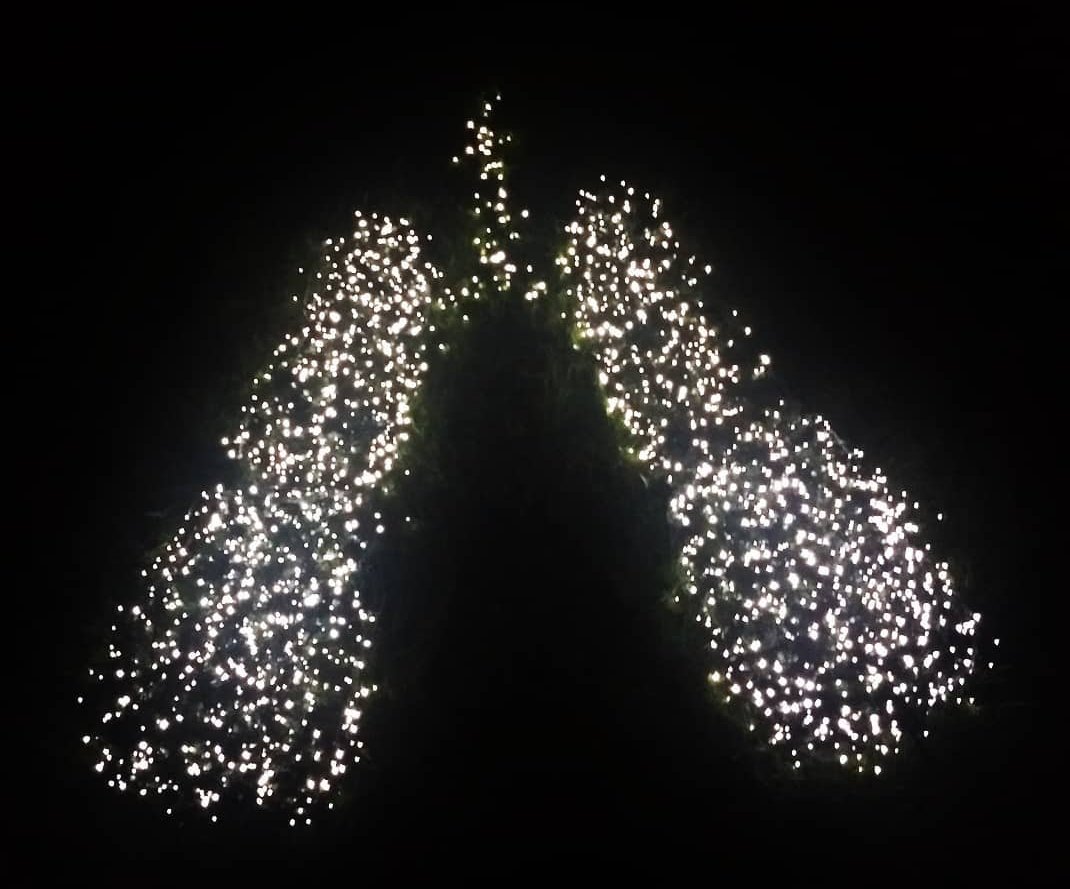 BairdAM's tweet photo. November is Lung Cancer Awareness Month but what we are really striving for is lung cancer awareness each and every day. 
Why? Because people at risk of and people impacted by lung cancer matter each and every day. Period. 
#LCAM #LCSM https://t.co/YdARc0OVDj