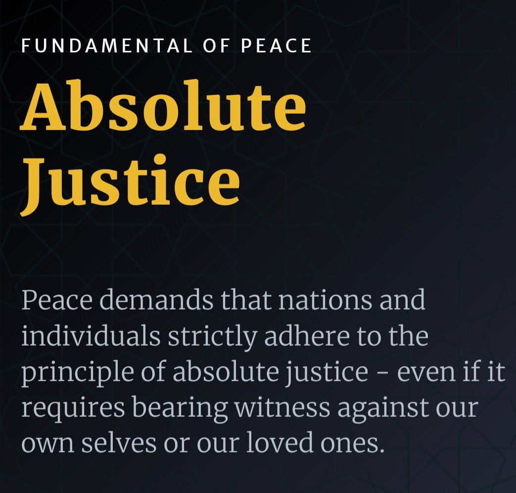 A M 🍉 tweet media