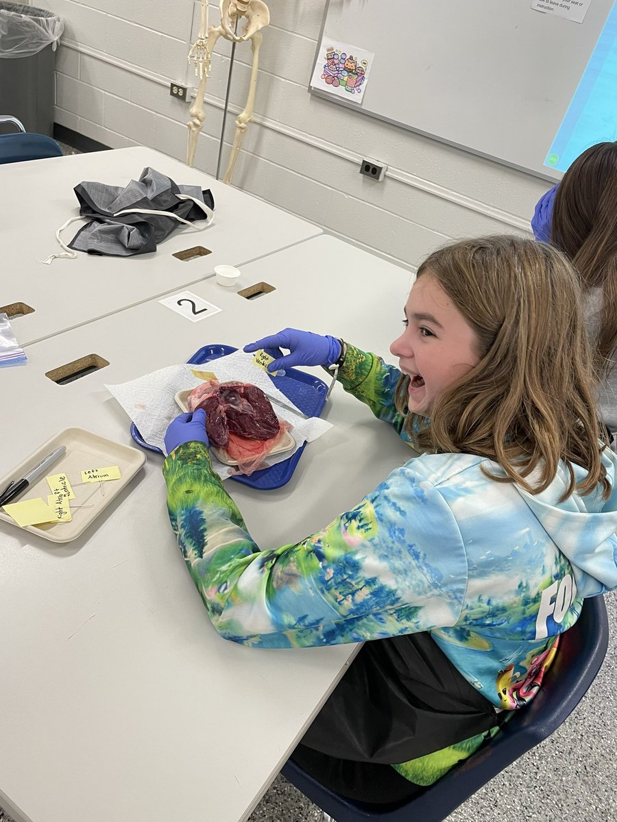 Jessica Dark tweet media