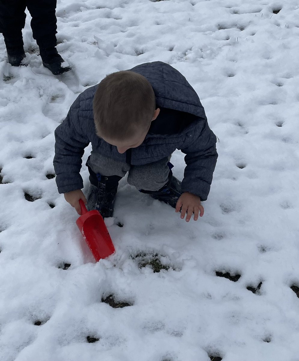 allison McGrath tweet media