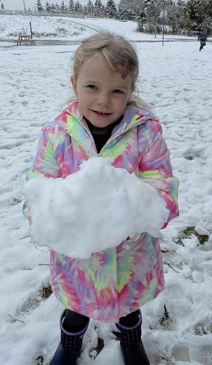 allison McGrath tweet media