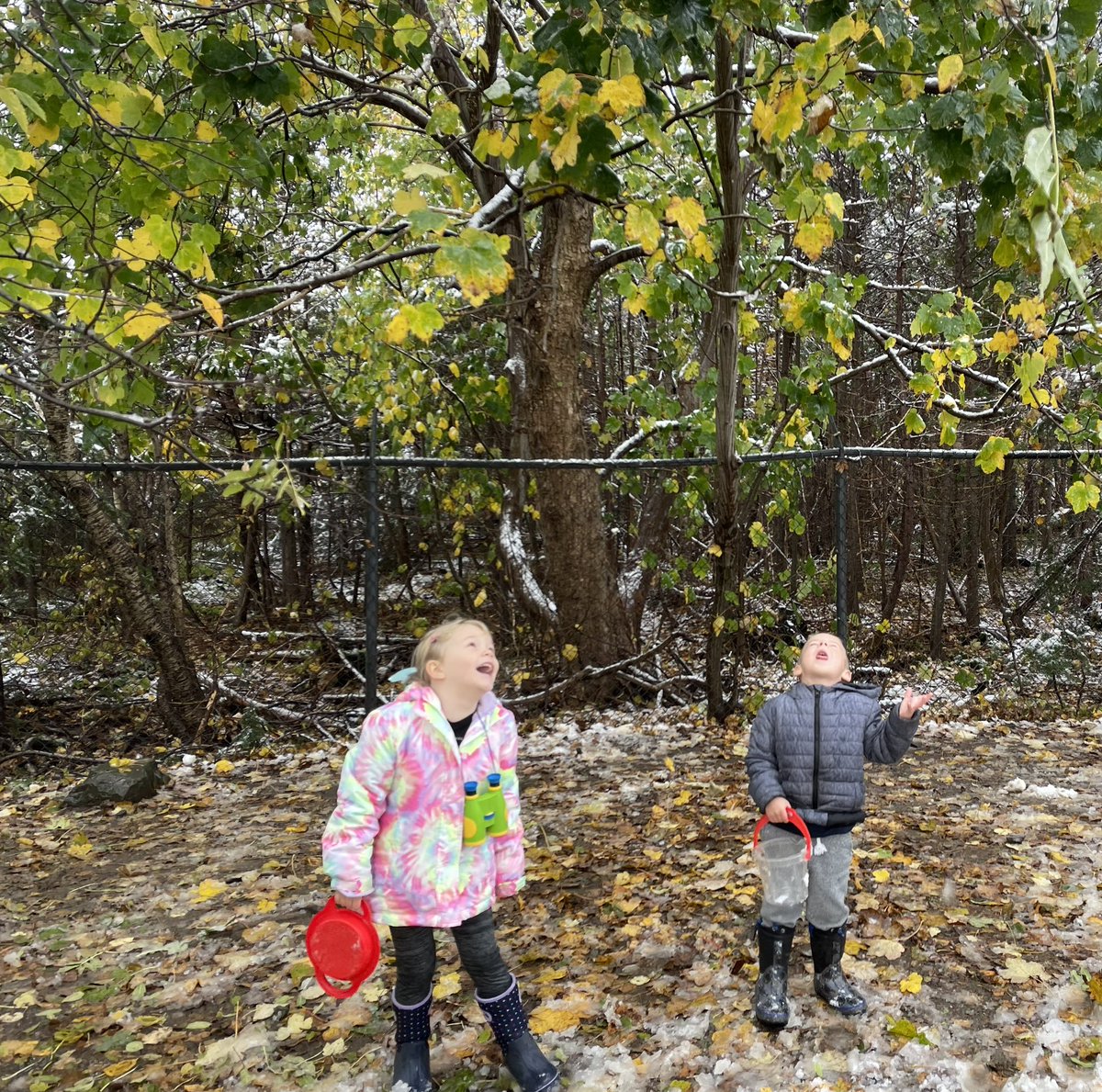 allison McGrath tweet media