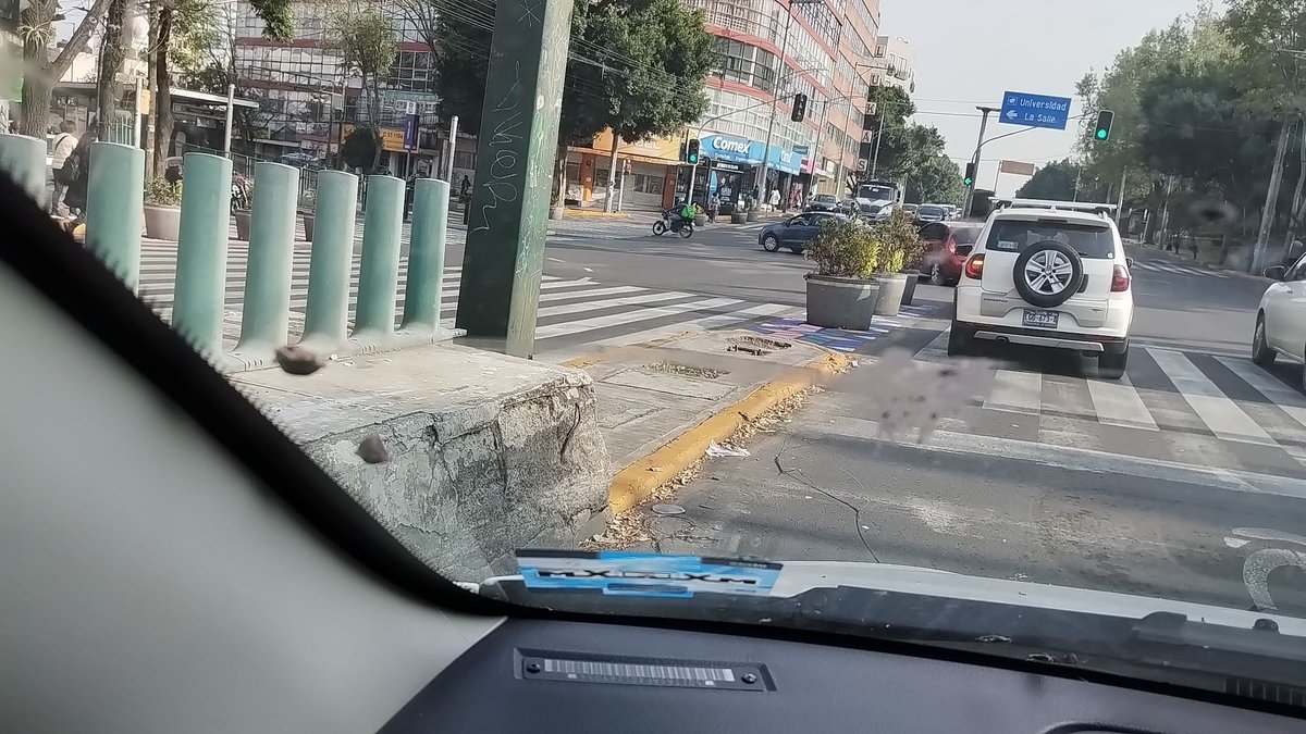 natillayflan's tweet photo. Como cuando dejas tu auto bajo un árbol y en lugar de convertirse en un #HotSpot se convierte en un #ShitSpot 🤷🏻♀️🤷🏻♀️ https://t.co/KLTa9AcDAi