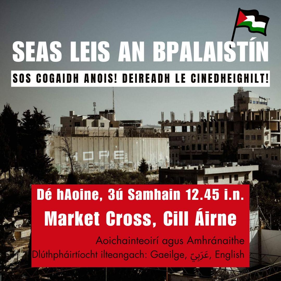 coistenabhfocal's tweet photo. Éinne a bheidh ag an Oireachtas beidh an imeacht seo ann Dé hAoine i gCill Airne féin.

Seasaimis leis an bPalaistín! https://t.co/N6kEpIvig7
