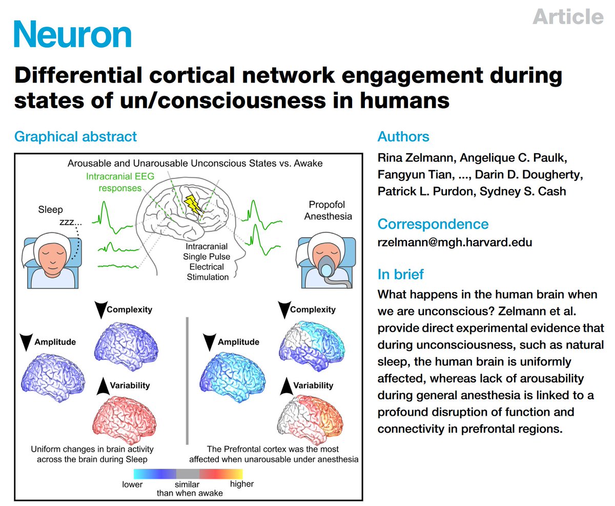 PessoaBrain's tweet image. 𝗖𝗼𝗻𝘀𝗰𝗶𝗼𝘂𝘀 𝘀𝘁𝗮𝘁𝗲𝘀. 𝗣𝗿𝗲𝗳𝗿𝗼𝗻𝘁𝗮𝗹 𝗰𝗼𝗿𝘁𝗲𝘅 𝗮𝗳𝘁𝗲𝗿 𝗮𝗹𝗹?? 
doi.org/10.1016/j.neur…