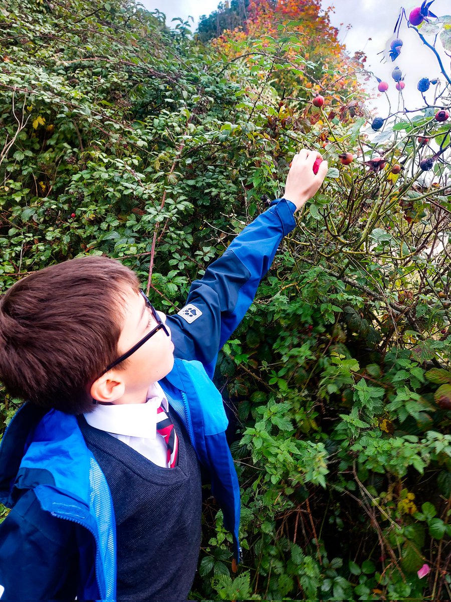 CastleCourtEng's tweet photo. @CastleCourtYr5 out and about on an Autumn treasure hunt to inspire their #poetry #CastleCourtEnglish. We cannot wait to see what they come up with! @psbacc #CastleCourtCuriosity #CastleCourtCreativity @youngpoetsnet @PoetryEducation We're hoping for the next #Keats #Hopkins https://t.co/WzrWeGlUNN