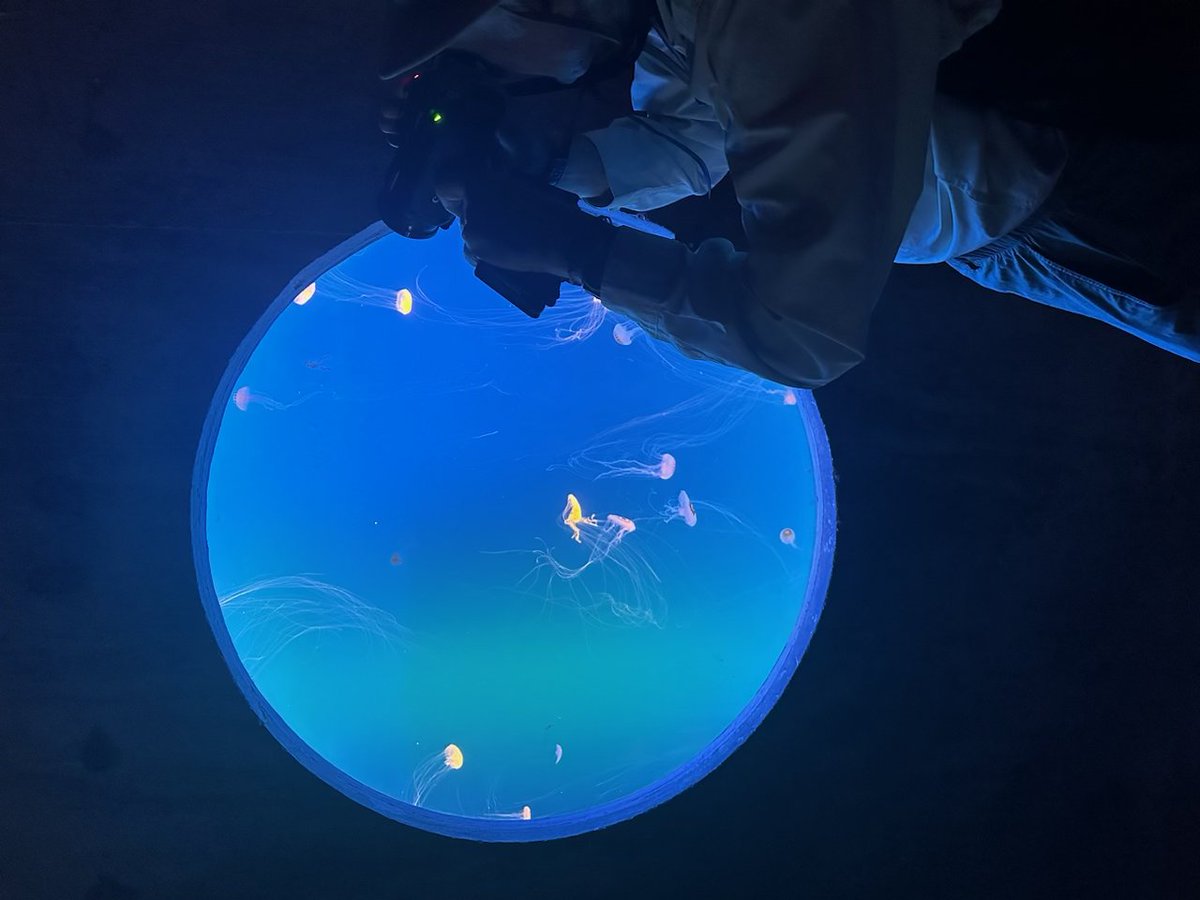 Hunter PR tweet media