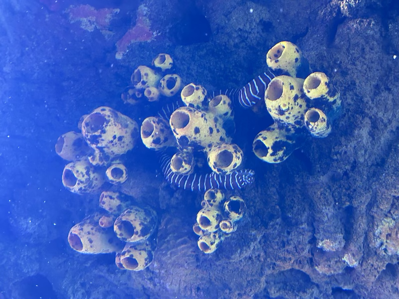 Hunter PR tweet media