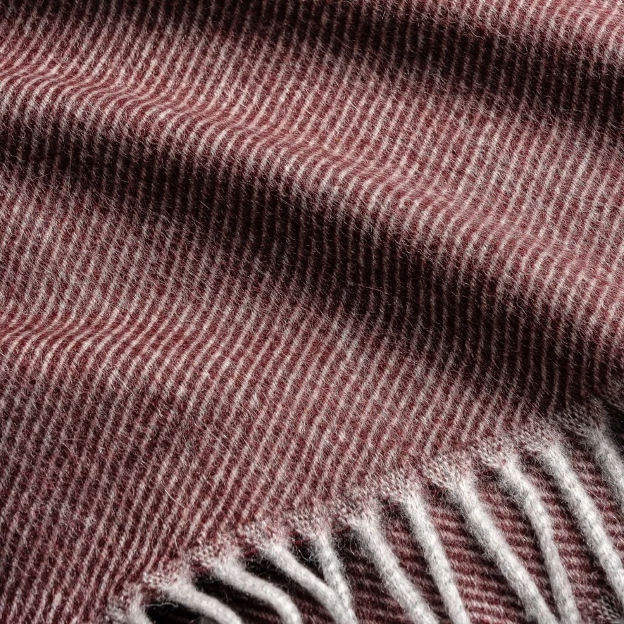 Jack Victor tweet media