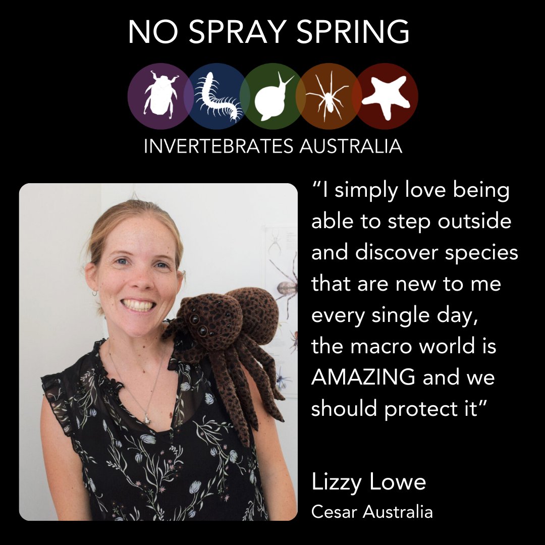 invertsau's tweet image. #NoSpraySpring is a campaign close to @LizyLowe's heart. She is passionate about all invertebrates (especially the spiders!) and works to promote sustainable ways to manage pests while saving our good bugs!!