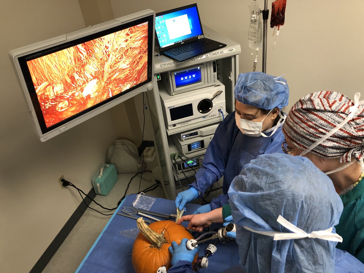 Rockyview General Hospital hosted approximately 50 grade 9 to 12 students for national Take Our Kids to Work Day. Students enjoyed a range of hands on skills training stations including surgery, infection prevention and control, EMS, trauma, respiratory care and physiotherapy.