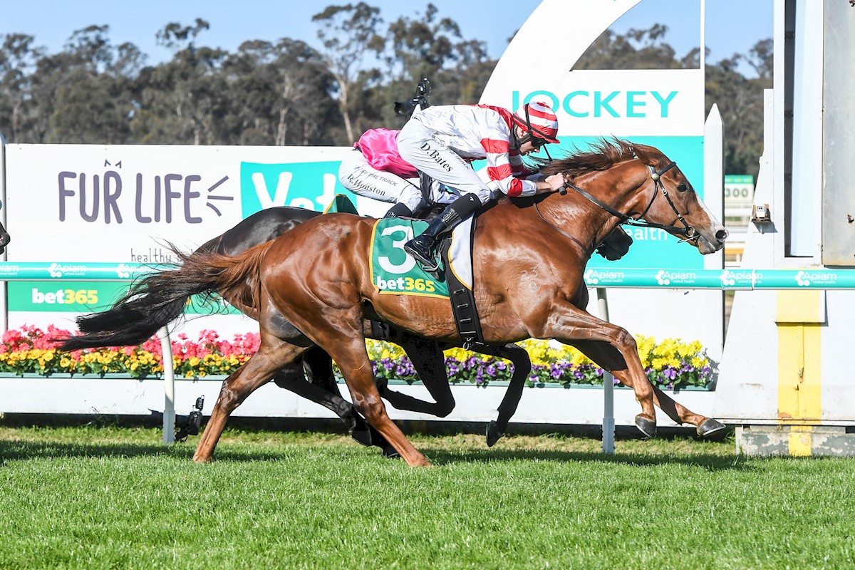 wboolracingclub's tweet photo. ⛏ 🥇 BOOL TRAINERS STRIKE GOLD IN BENDIGO!

- Daniel Bowman trained Fortunate Kiss, ridden by Damien Oliver, won the Bendigo Locksmiths BM78 Handicap
- Aaron Purcell qualifyied for a start on Kennedy Oaks Day at Flemington with Dashing winning the MCC Series Heat 8 race https://t.co/kp79j0Yn3i
