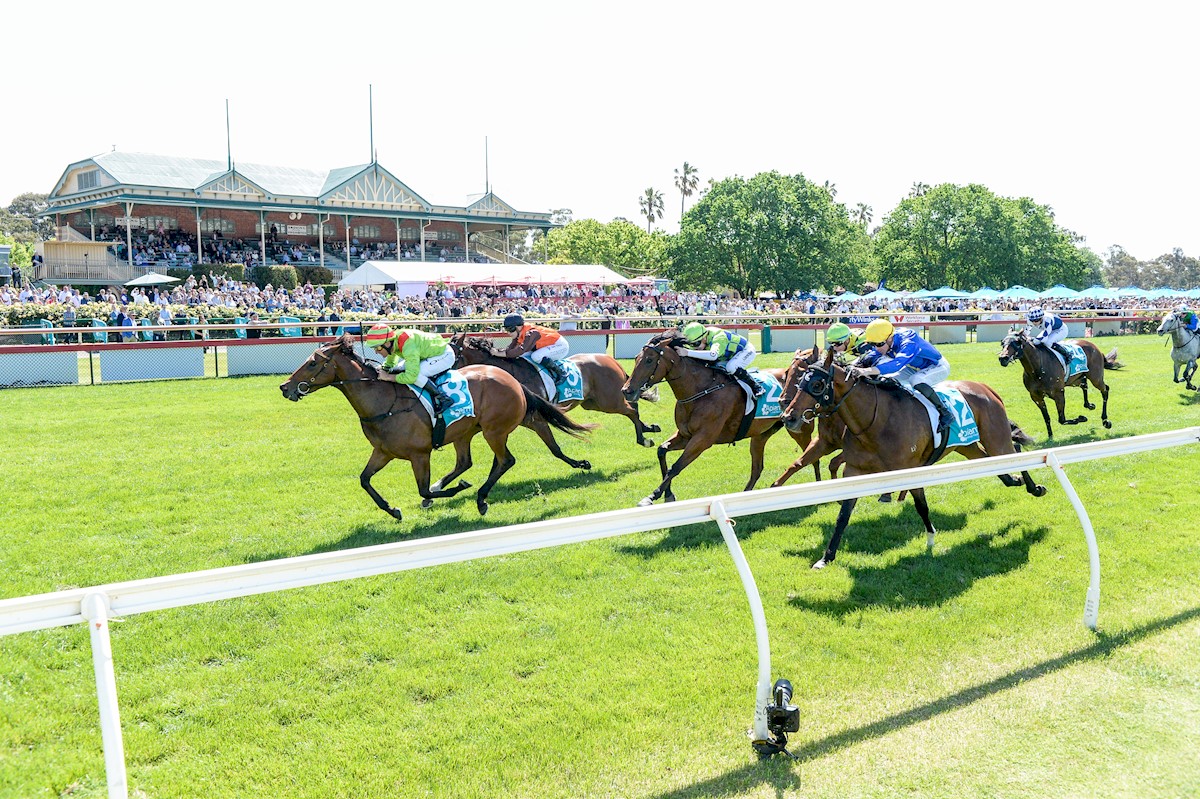 wboolracingclub's tweet photo. ⛏ 🥇 BOOL TRAINERS STRIKE GOLD IN BENDIGO!

- Daniel Bowman trained Fortunate Kiss, ridden by Damien Oliver, won the Bendigo Locksmiths BM78 Handicap
- Aaron Purcell qualifyied for a start on Kennedy Oaks Day at Flemington with Dashing winning the MCC Series Heat 8 race https://t.co/kp79j0Yn3i