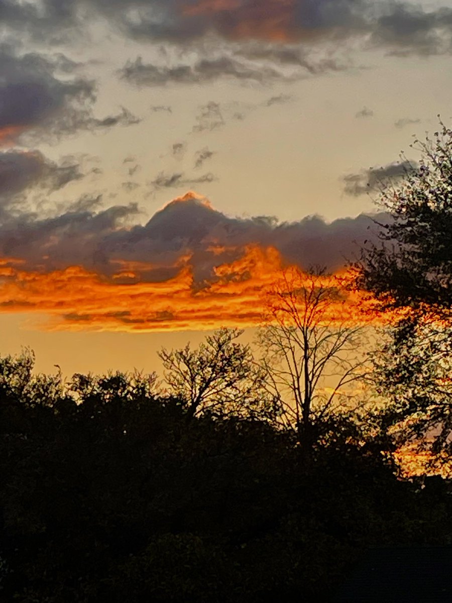 mpicsb's tweet image. 