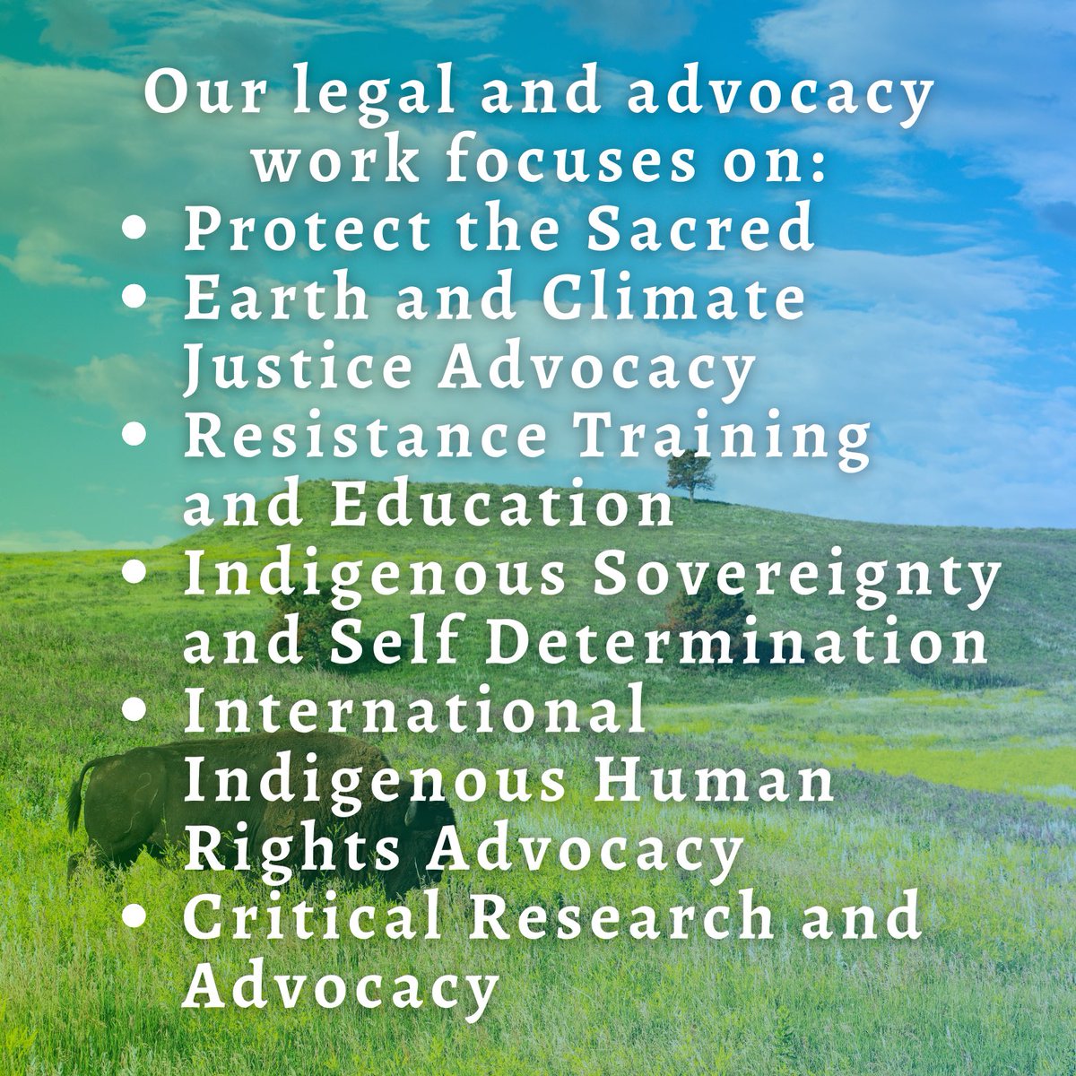 WaterIsLifeWPLC's tweet image. Every month is Native American Heritage Month at WPLC. 🪶

Born out of the #NoDAPL movement, WPLC is an Indigenous-led legal nonprofit that provides support and advocacy for Indigenous peoples and Original Nations, the Earth, and climate justice movements.