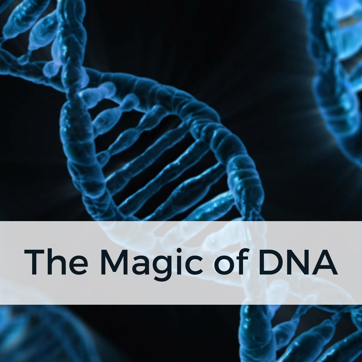 Heading to Dunedin this weekend to talk DNA. Will I see you there?

For more details: bit.ly/DNADunedin2023