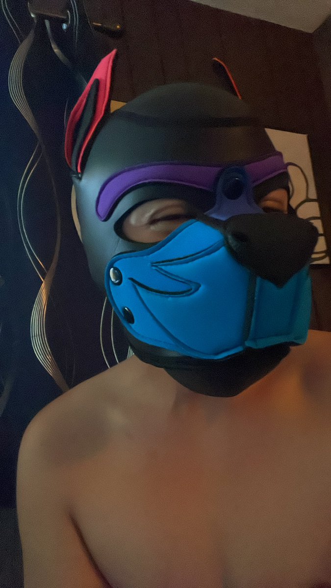 pup zander tweet media