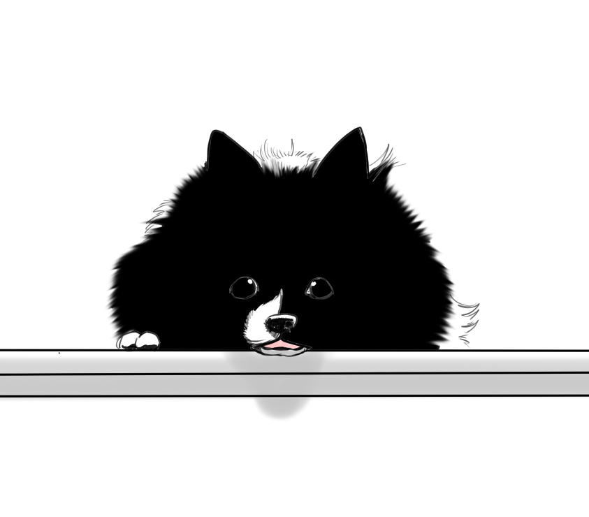 How Suki looks begging at the top of the staircase 🥰😍🥰😊💕💞♥️