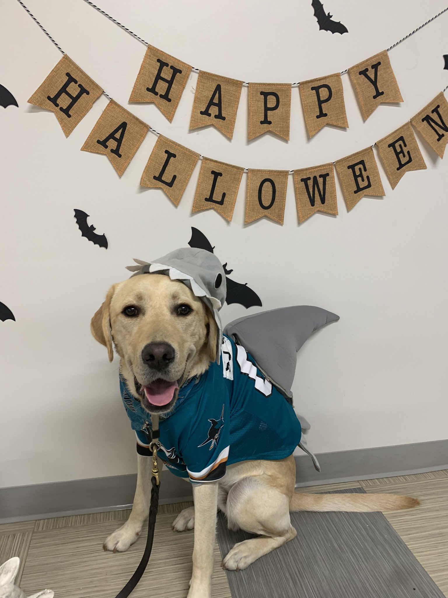 San jose sharks halloween jersey sales