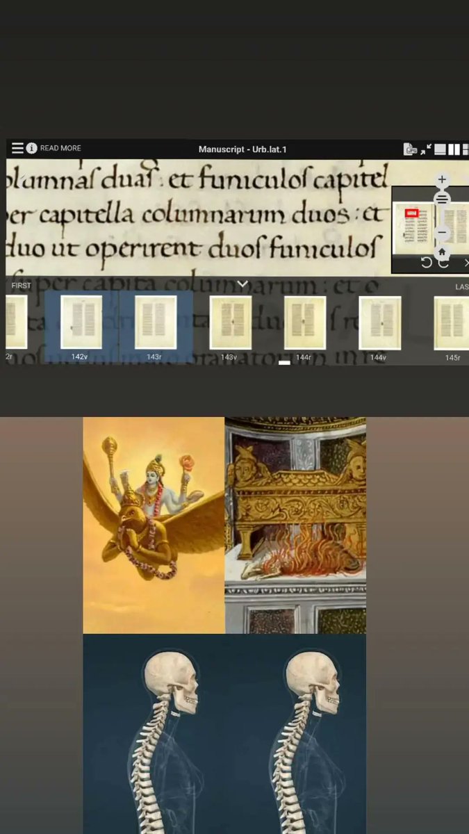 bharaonick's tweet image. #urblat1 #vallat3773 #vaticanlibrary @Tsoukalos  @ufotable