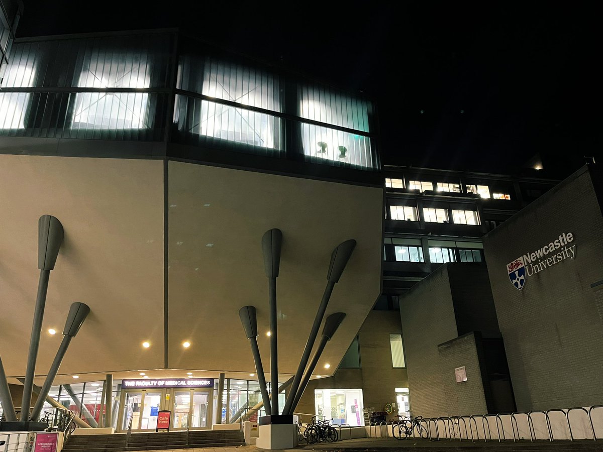 Workplace of the day: Faculty of Medical Sciences in Newcastle 🥼testing some cool stuff in the deep brain 🤯🧠🐒

Can you guess what we were trying out? 😏😏

#ATLASneuro #NewcastleUniversity