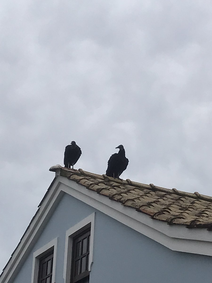 dianzin_'s tweet photo. Manda pra aquele seu amigo kkkk https://t.co/YKcM3m0Dkw