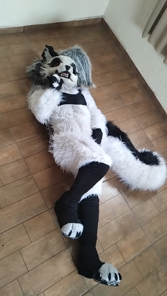 Owo #furry #furryfandom #furrycommunity #furryfriends #furrypride #furrytrash #furrycharacter #furrygirl #furrysex #furrysuit #fursuit #fursuiters #furrybrazil #loonahelluvaboss #helluvabosscosplay