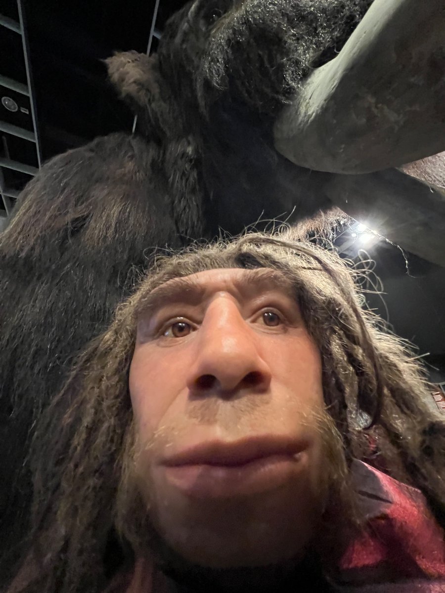 todos toman fotos normales en los museos 
yo: