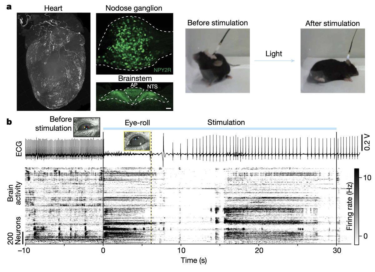 Eric Topol tweet media