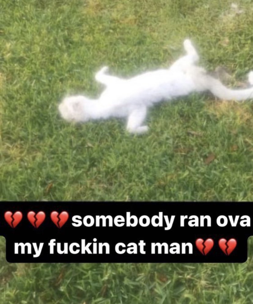 god these old tweets on this account r so cringe