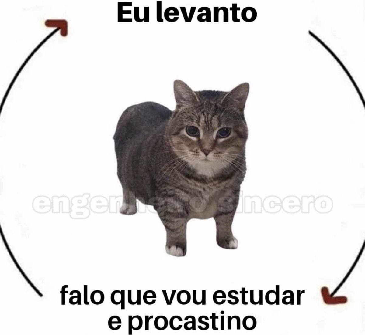 shitpostverdade's tweet photo. https://t.co/SWy2wwxP5m