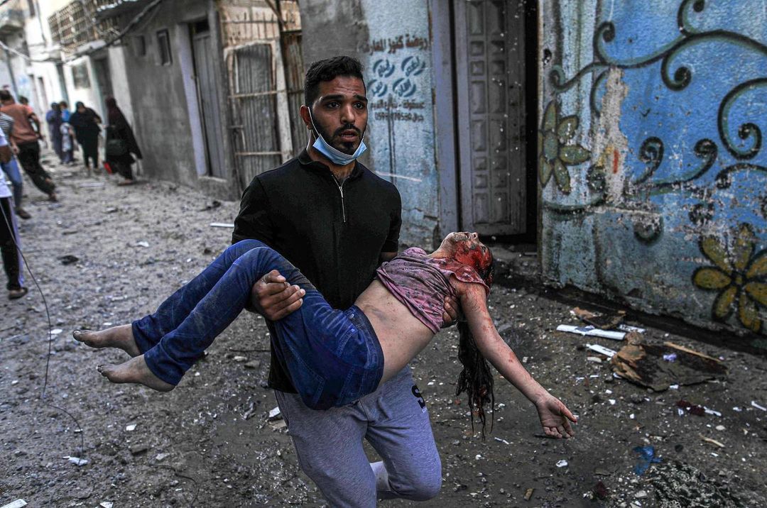 AnimalGaza's tweet image. 