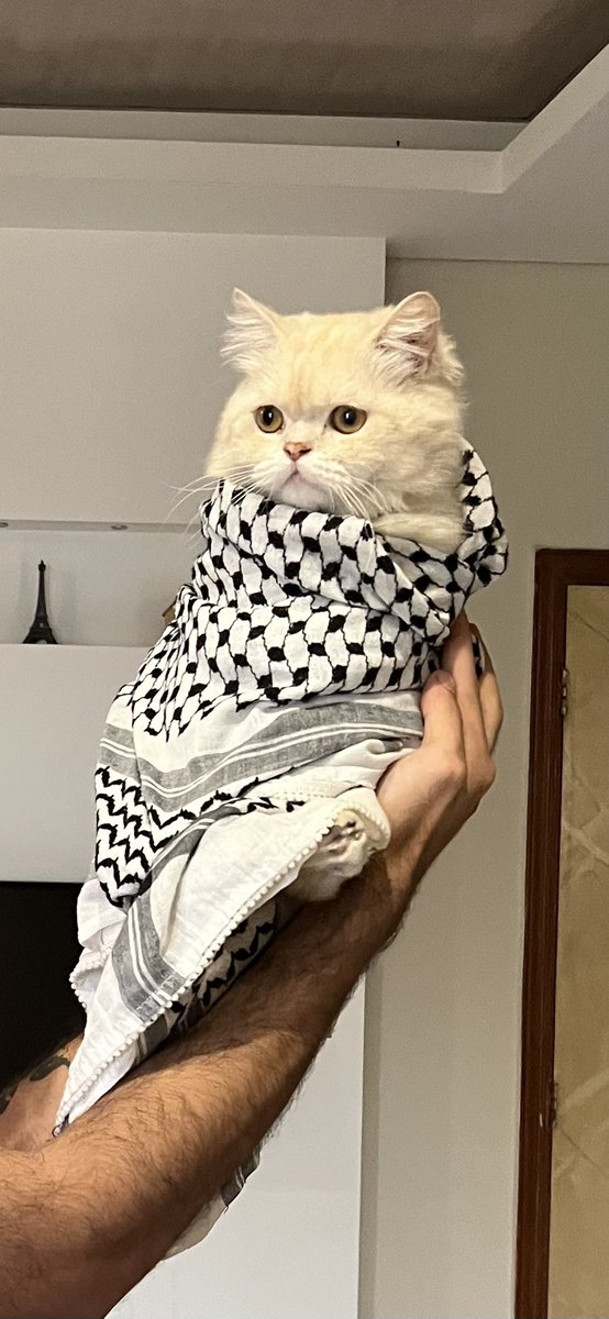 Chino stands with Hamas