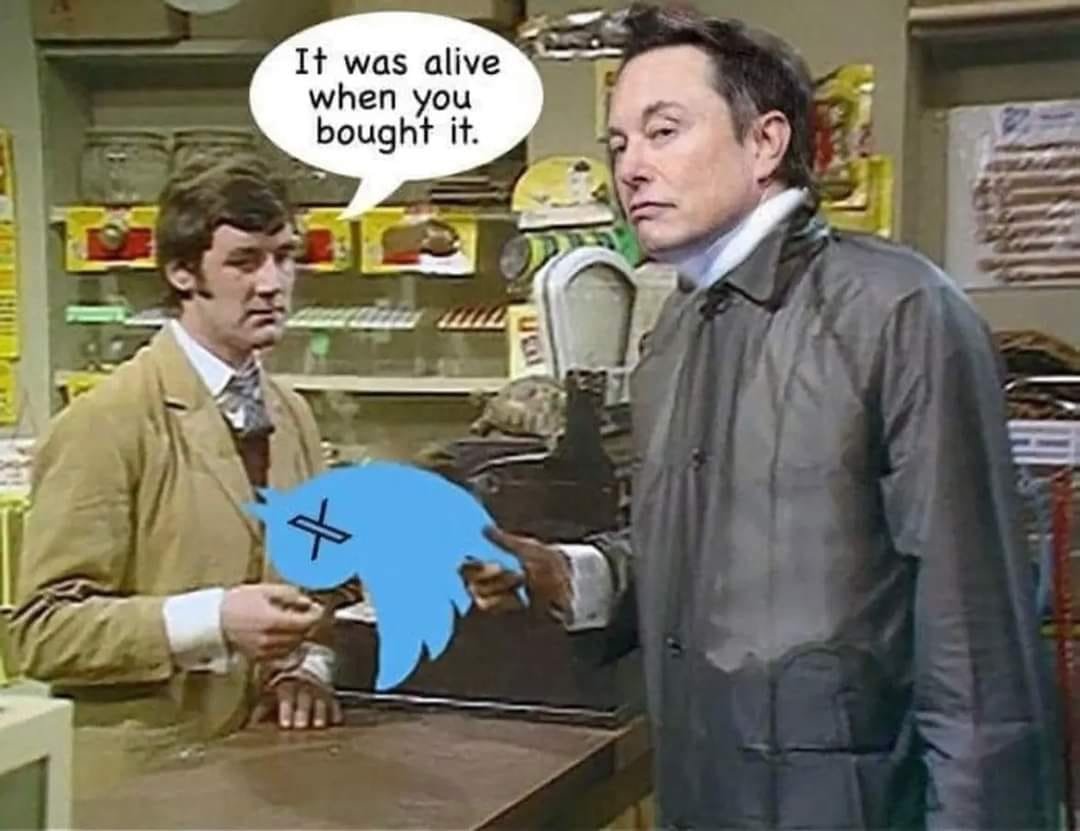 This one may get me in trouble but hey: