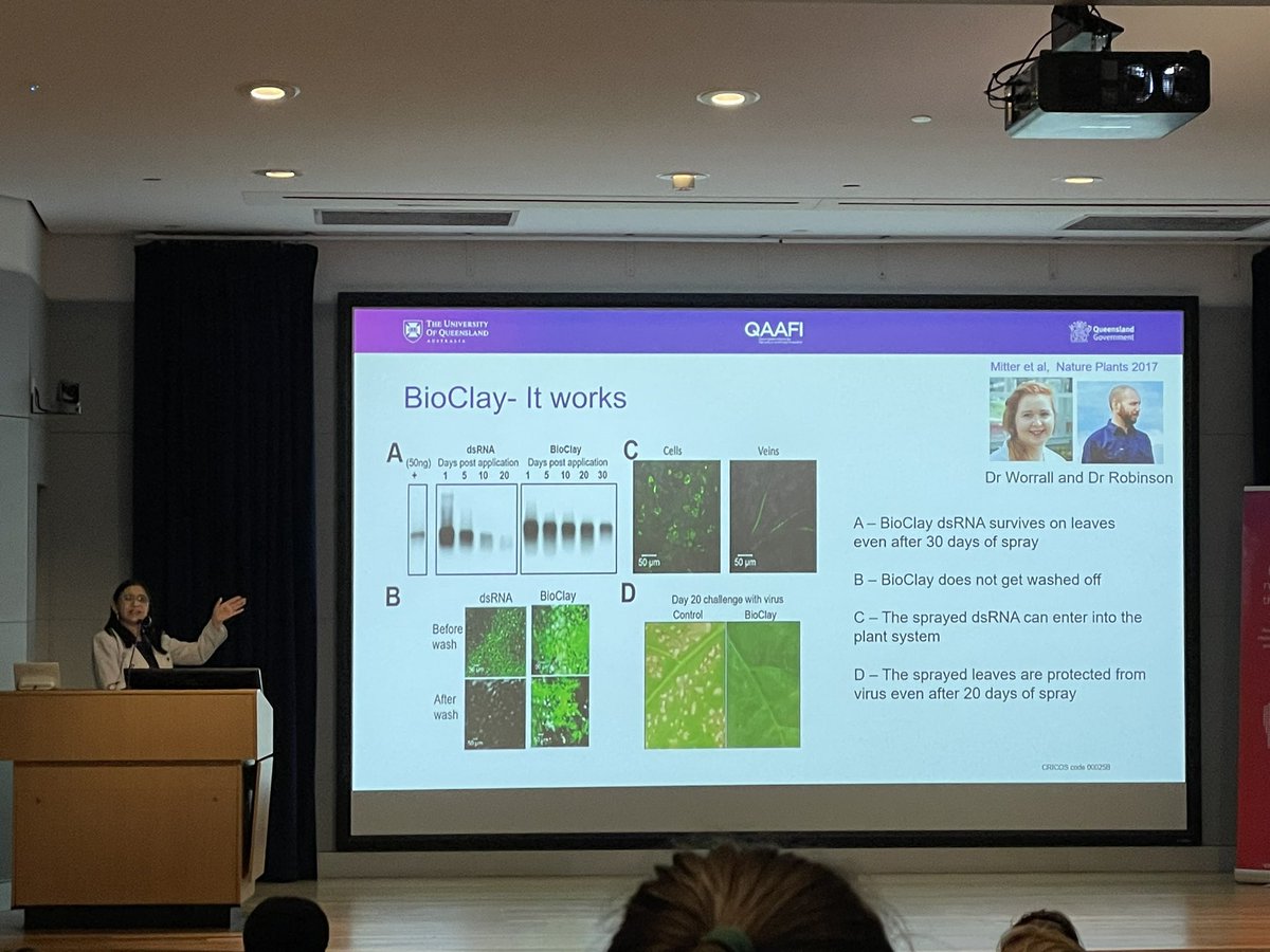 Mina1Cheng's tweet photo. Day 2 at #EAPS2023, kicking off with an exciting dive into 🌱plant research, presented by Prof. @neenamitter from @QAAFI @UQscience! 🥑🦠🧬🔬 https://t.co/A4XqWtMgjo