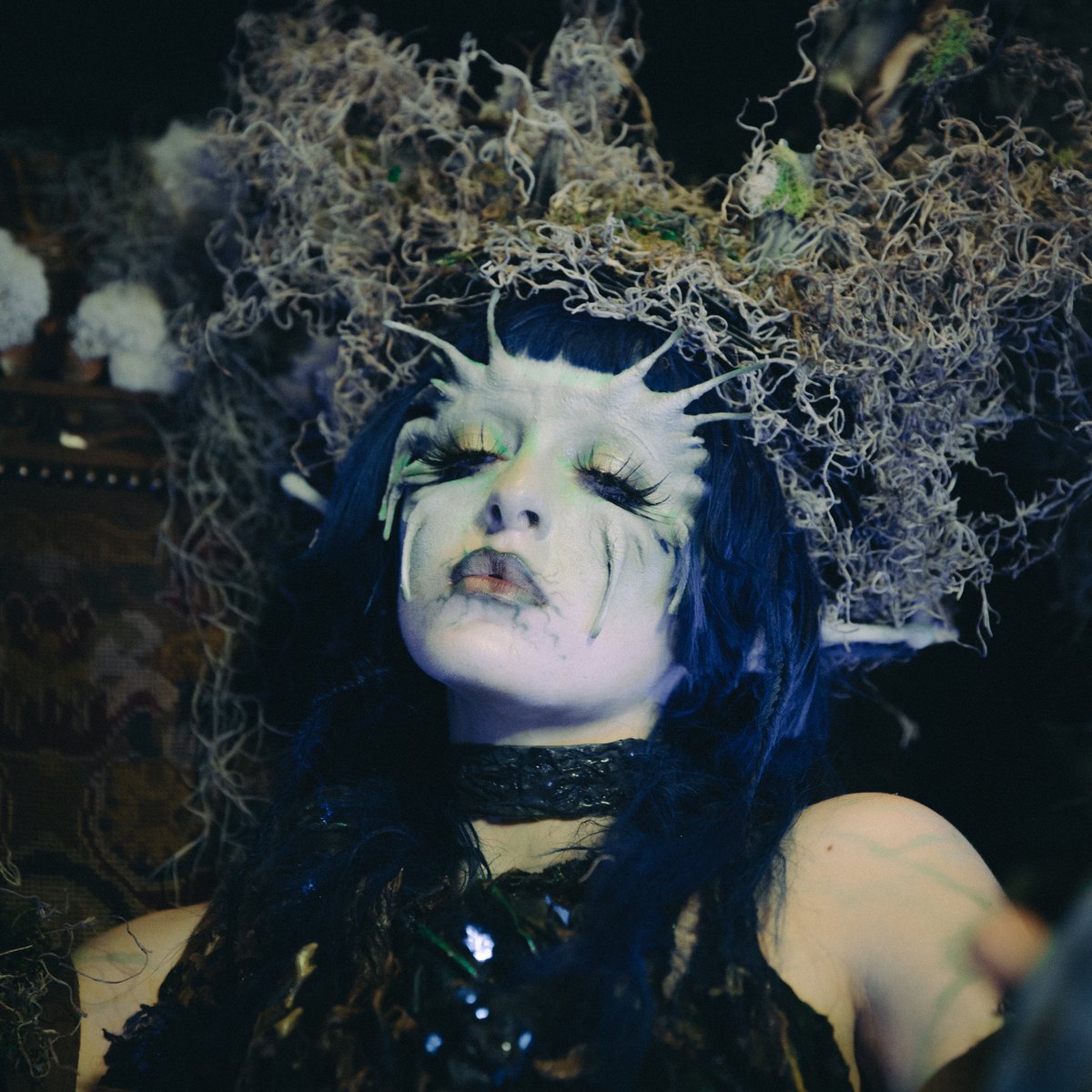 ashnikko's tweet image. i am the moss king, green apple eyes. you sang the song, now our destinies are tied 🌿🌱🔮

last night was so incredible! happy halloween, demidevils. the north american leg of the weedkiller tour is over! now the moss king hibernates.